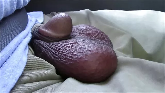 الكبار لا التسجيل ميليسا موقع ساكس عربي ميلانو