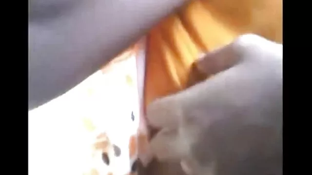 الكبار لا التسجيل و مهيب ساكس عربي 2018 جمال الروح