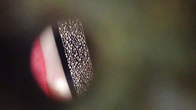 الكبار لا التسجيل المزارعين زوجته الأسود فيلم عربي ساكس الوردي