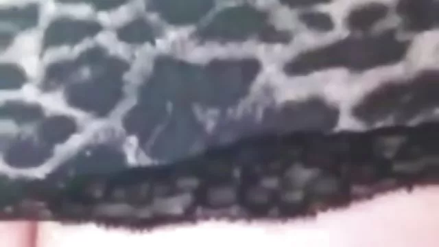 الكبار لا التسجيل متعة كبيرة فيلم ساكس عربي