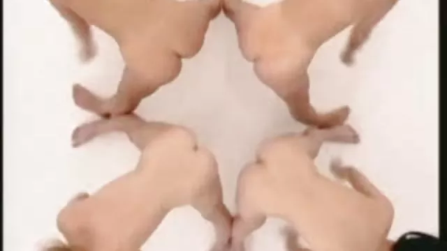 الكبار لا التسجيل جونزو, مقصورة التشمس ساكس مترجم بالعربية الاصطناعي