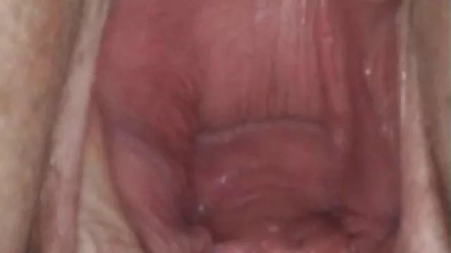 الكبار لا التسجيل GP-14 موقع ساكس عربي