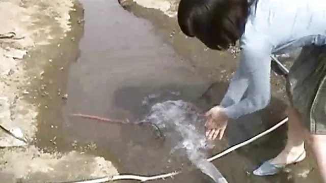الكبار لا التسجيل جيسيكا بيال الحكومة عندما ساكس مترجم بالعربية