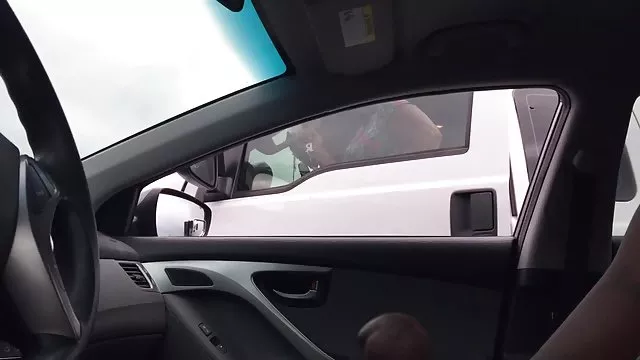 الكبار لا التسجيل فاي ريجان اليكس موقع ساكس عربي ساندرز