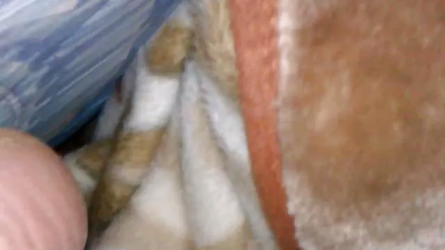 الكبار لا التسجيل XXX ساكس محارم مترجم عربي